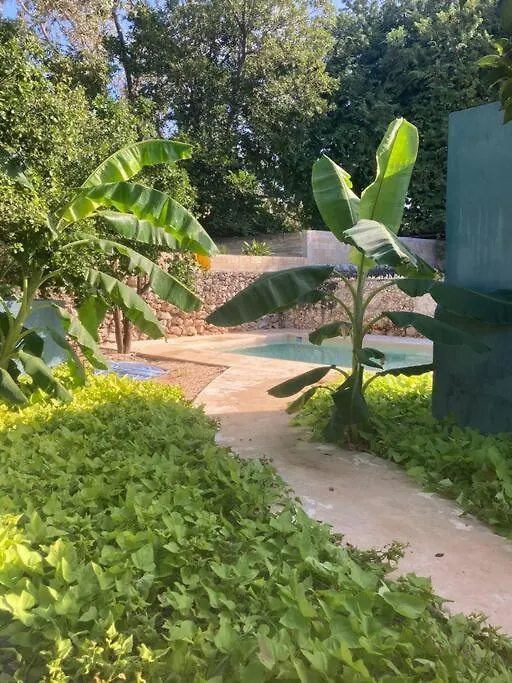 Centrica Casa 3 Cuartos, Piscina/Estacionamiento Villa Merida 0*,